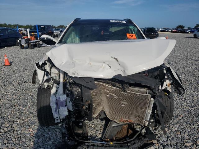2019 HYUNDAI SANTA FE X KM8SR4HF9KU304756