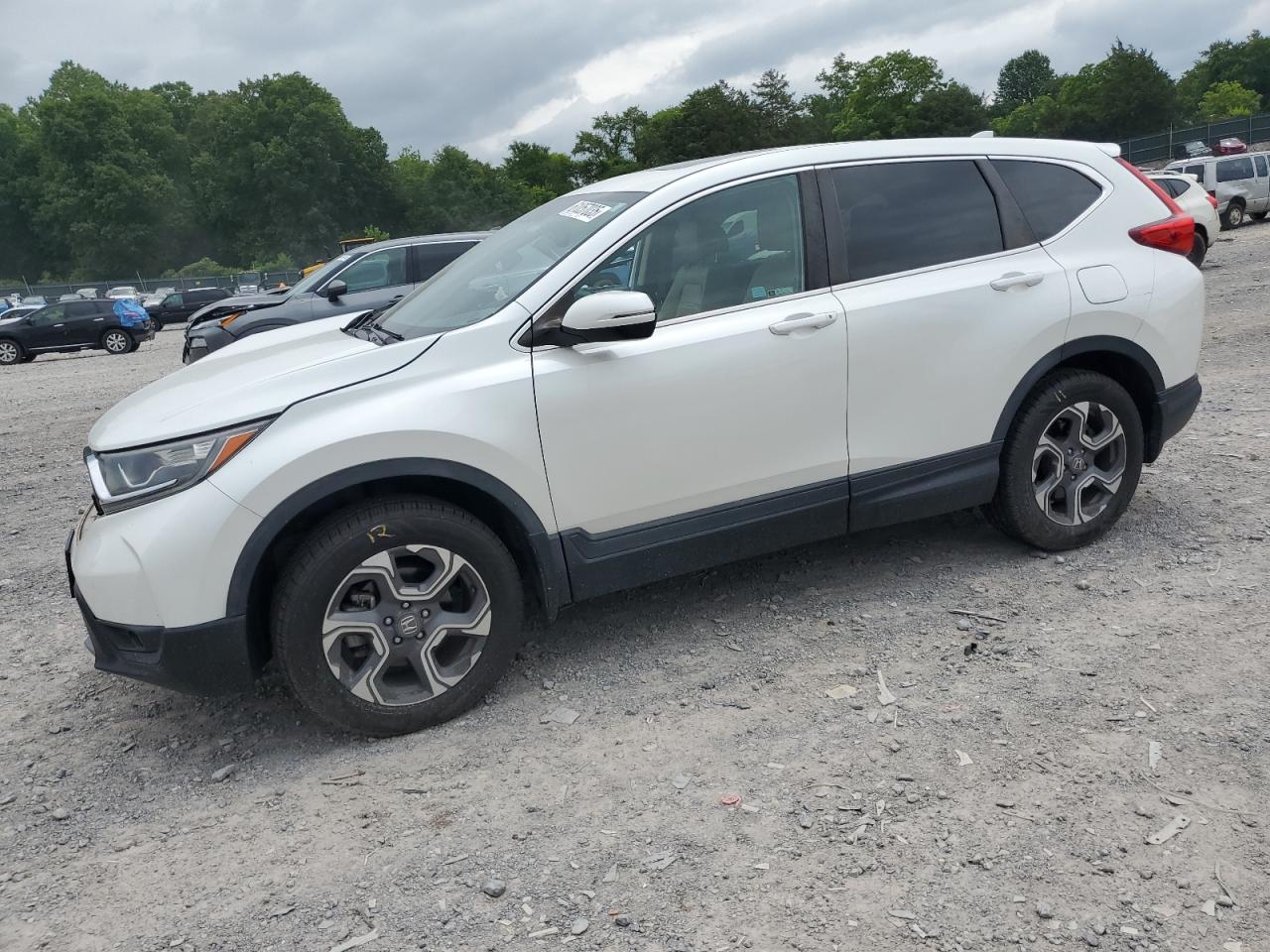 HONDA CR-V EXL