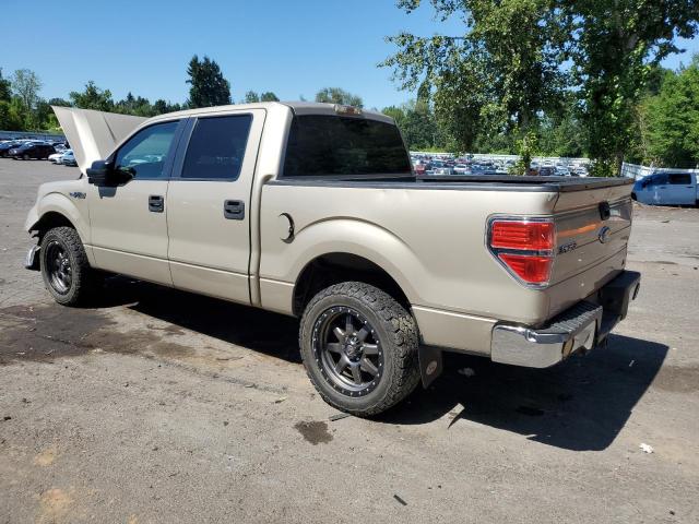 2010 FORD F150 SUPER - 1FTFW1EV6AFB53385