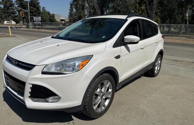FORD ESCAPE SEL 2013 white 4dr spor gas 1FMCU0H95DUC62529 photo #3