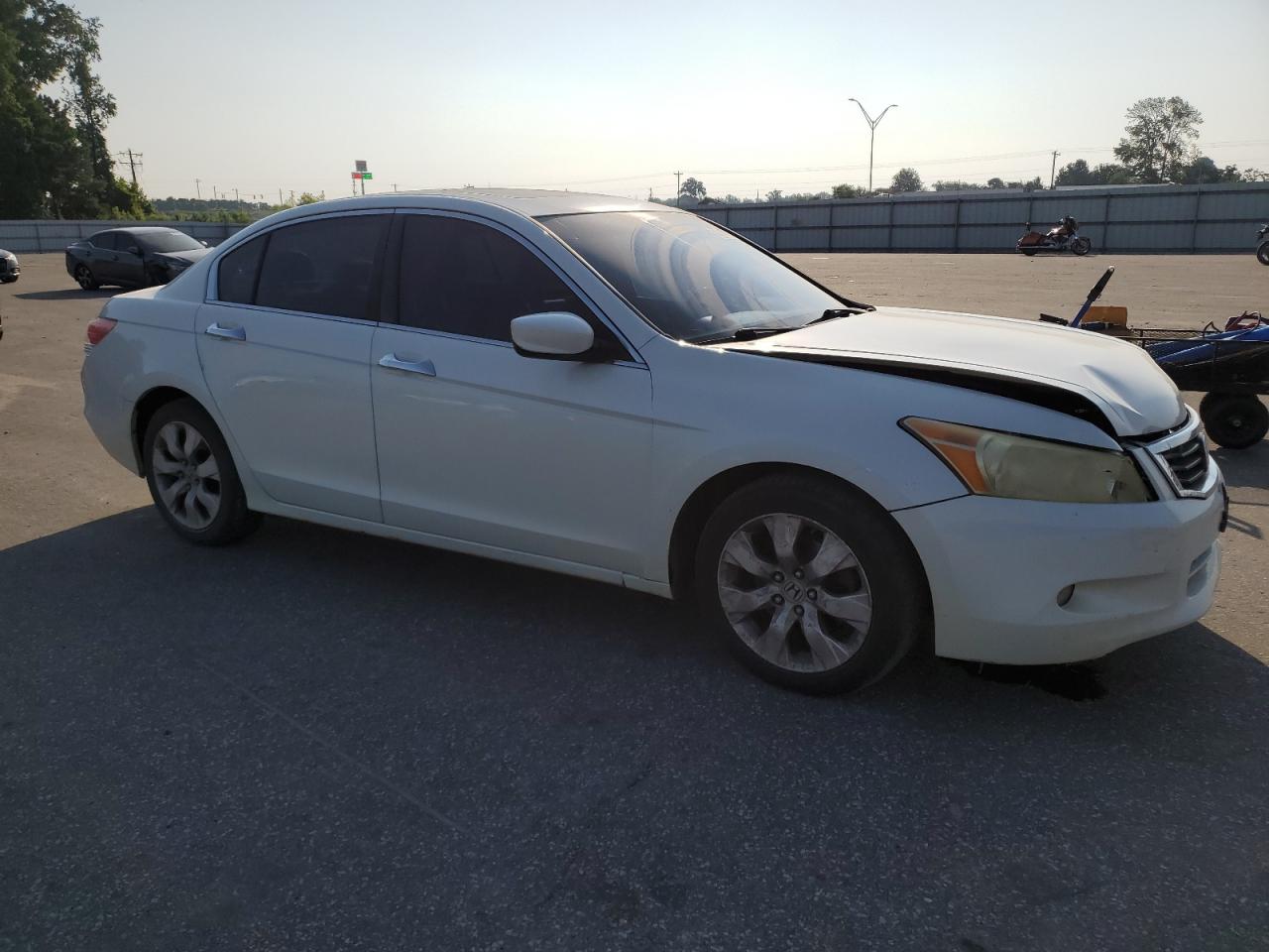 Lot #3317726130 2008 HONDA ACCORD EXL