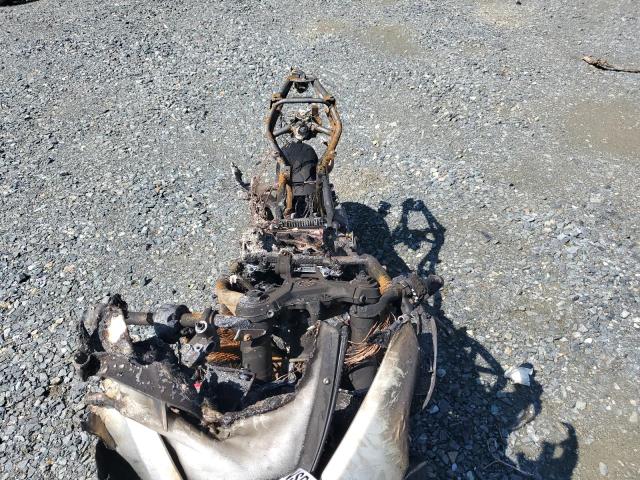 2023 M. V. AGUSTA F3 #3284555149