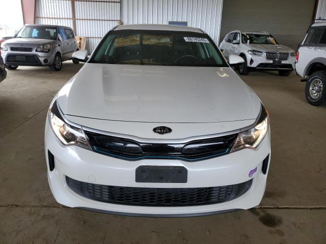 2019 KIA OPTIMA PLU KNAGV4LD8K5031988