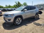 2020 JEEP COMPASS LI - 3C4NJDCB8LT164658