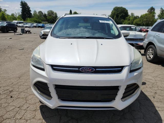 2014 FORD ESCAPE TIT - 1FMCU0JX5EUC52531