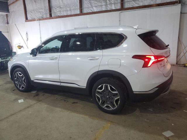 2021 HYUNDAI SANTA FE L - 5NMS44AL3MH317726