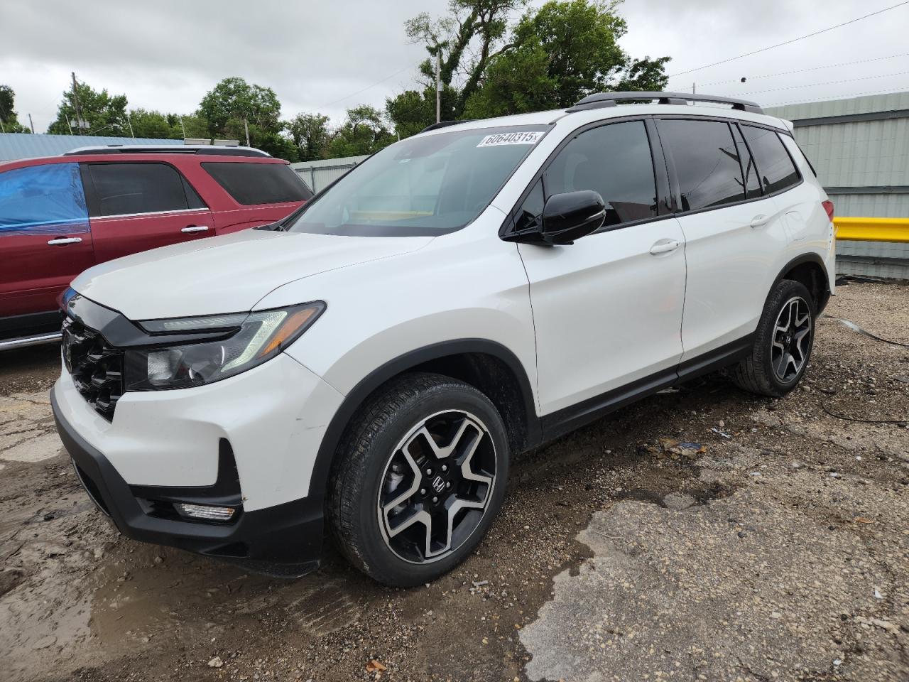 HONDA PASSPORT ELITE