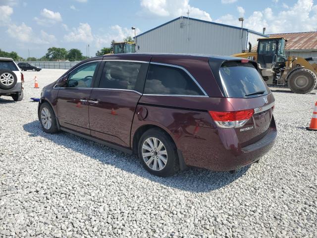 Vin: 5fnrl5h46eb136161, lot: 62411055, honda all models ex 20142