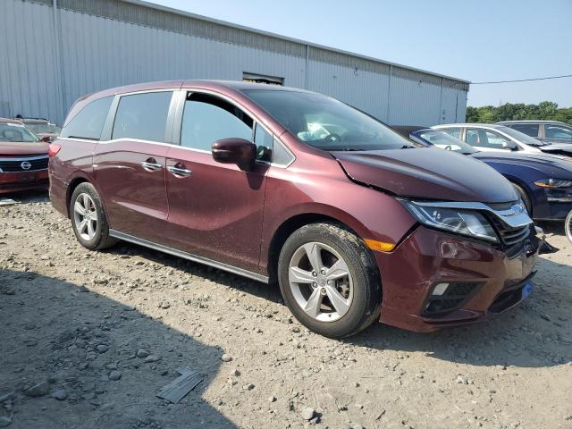 Vin: 5fnrl6h77kb090836, lot: 59514165, honda all models exl 20194