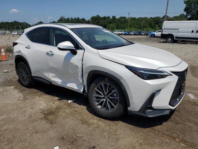 2024 LEXUS NX 350 PRE 2T2GGCEZ0RC056702