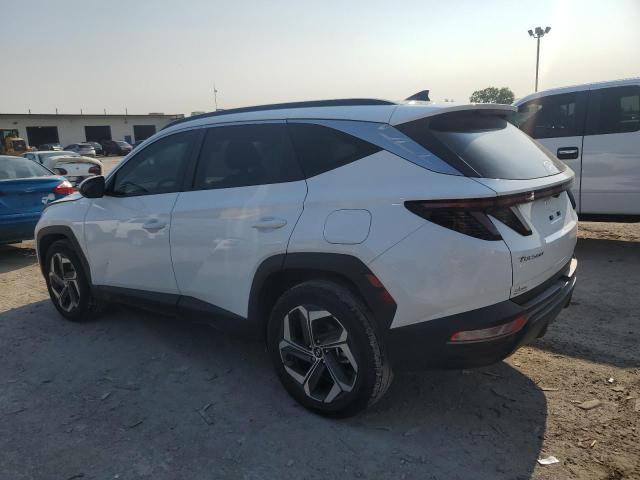 2024 HYUNDAI TUCSON SEL - 5NMJFCDEXRH398891