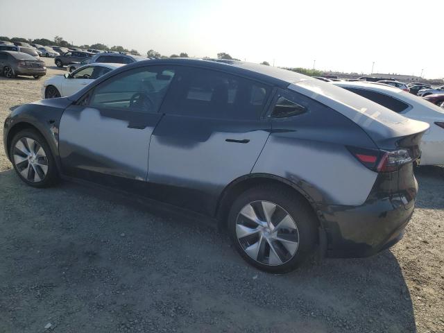2024 TESLA MODEL Y 7SAYGDEE9RF025247