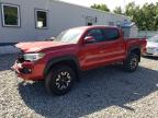 2019 TOYOTA TACOMA DOU - 3TMCZ5AN6KM192731
