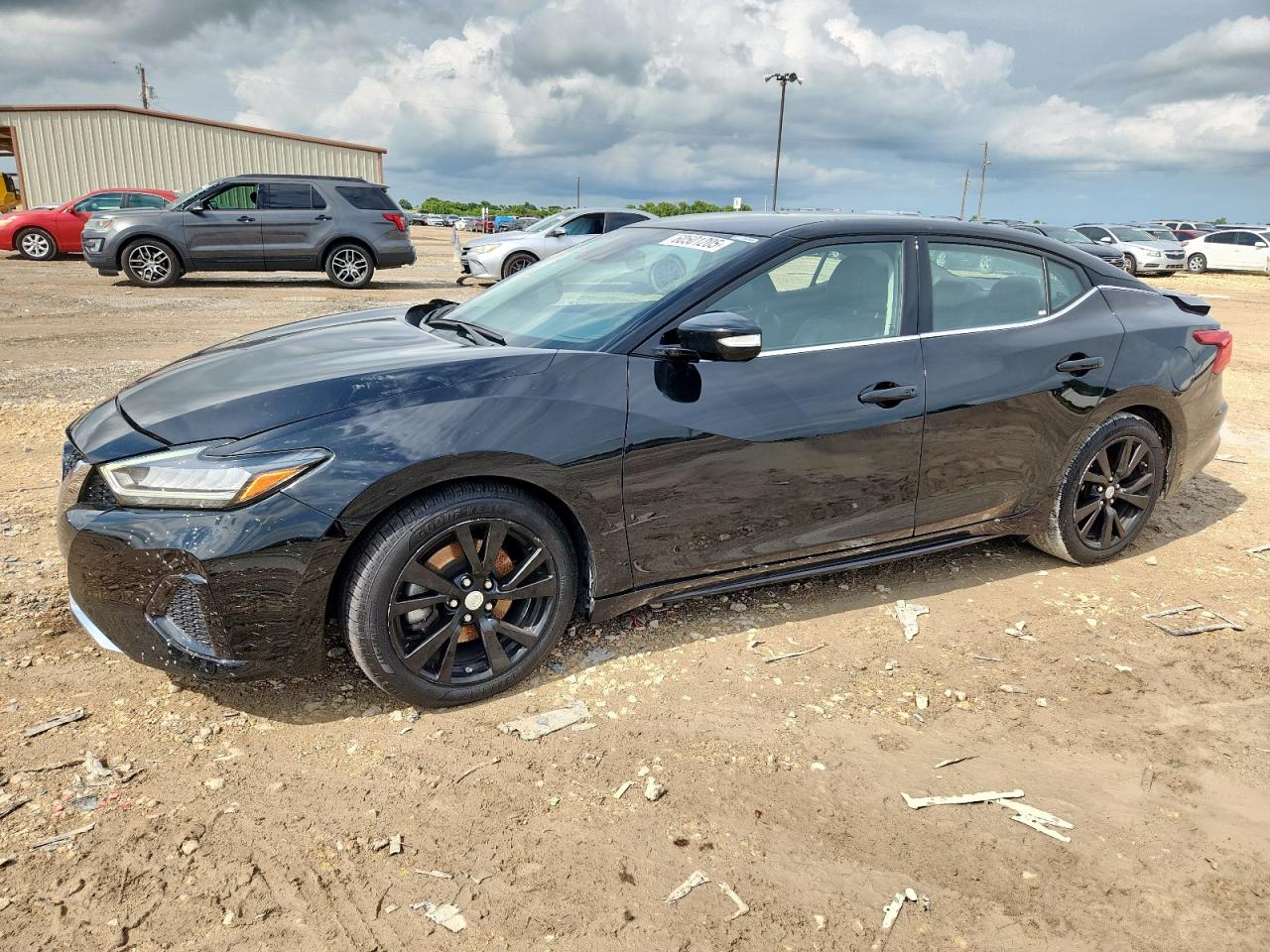 NISSAN MAXIMA SV