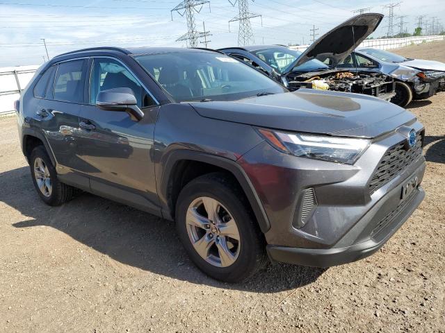 2024 TOYOTA RAV4 XLE - 2T3RWRFV5RW203195