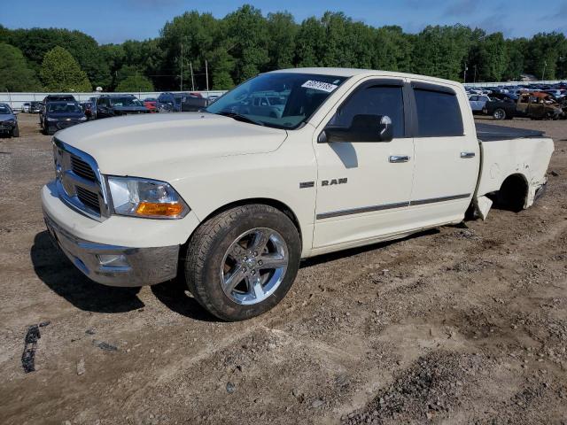 Vin: 1d7rb1ct0as226676, lot: 60879185, dodge all models 2010 img_1