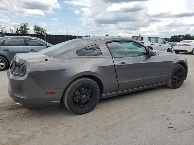 Vin: 1zvbp8am8d5215538, lot: 62214695, ford all models 20133