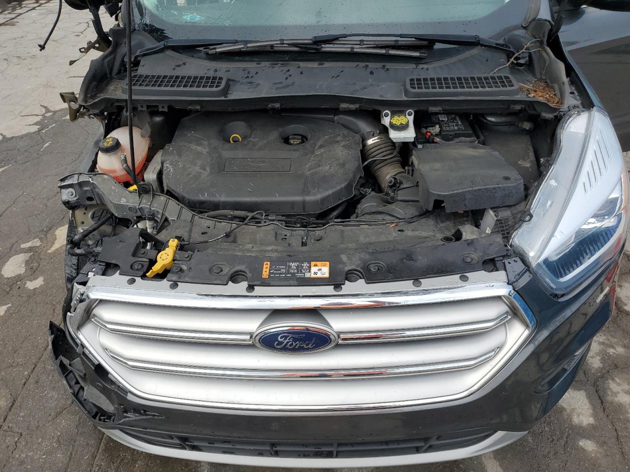 Lot #3186170475 2017 FORD ESCAPE SE