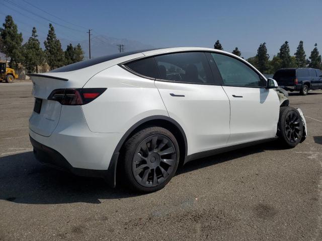 2024 TESLA MODEL Y 7SAYGDEE1RF124922