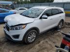 Top Destinations for Shipping Cars from the USA