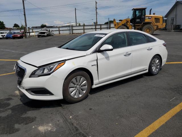 HYUNDAI SONATA HYB