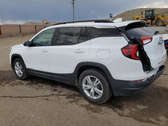 Vin: 3gkalmeg5rl330830, lot: 60170995, gmc terrain sle 20242