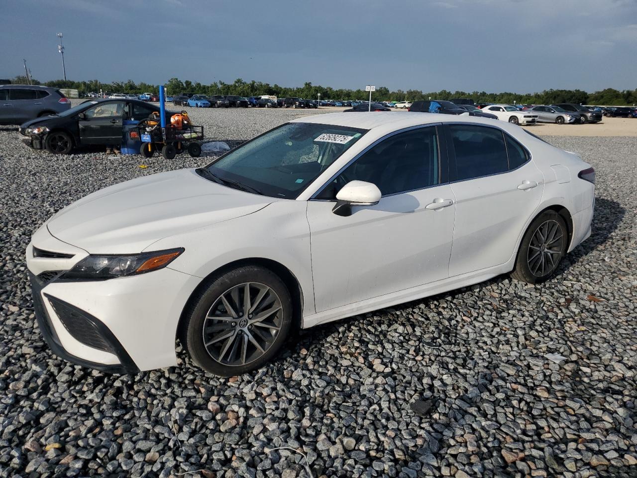 TOYOTA CAMRY SE NIGHT SHADE