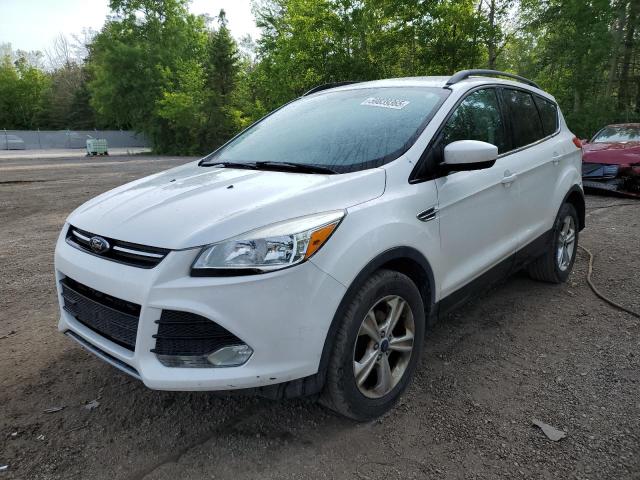 Vin: 1fmcu0gx6eue30258, lot: 59839365, ford escape se 2014 img_1