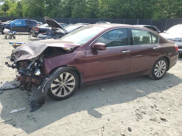 HONDA ACCORD EXL