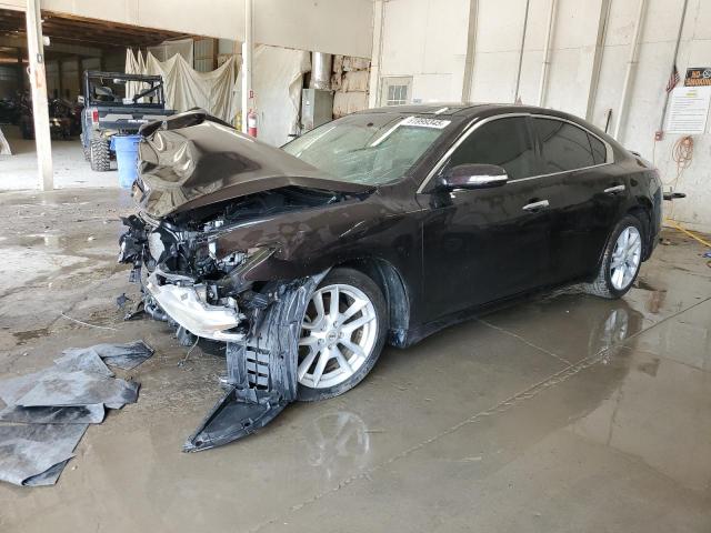 Vin: 1n4aa5ap4ac860497, lot: 61999345, nissan maxima s 2010 img_1