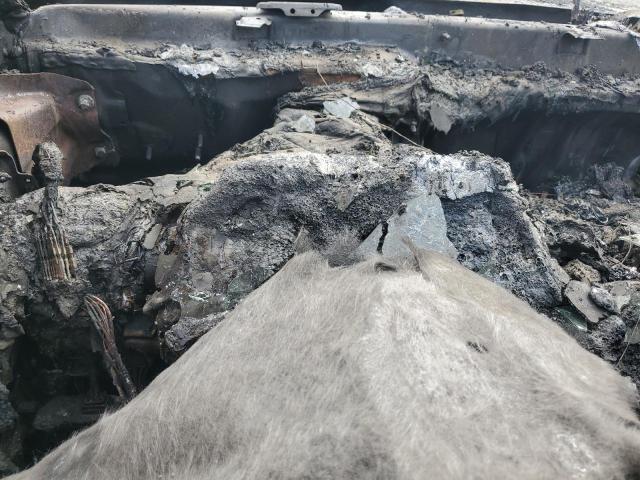 2019 HYUNDAI ELANTRA SE - 5NPD84LFXKH454859