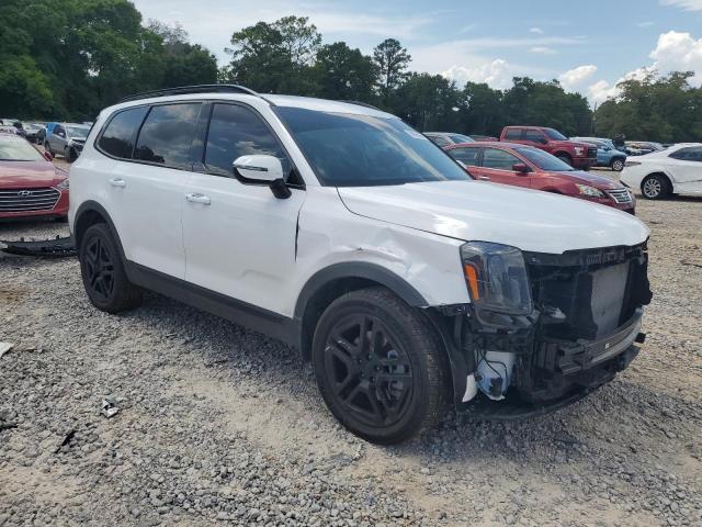 2025 KIA TELLURIDE 5XYP3DGC0SG567979