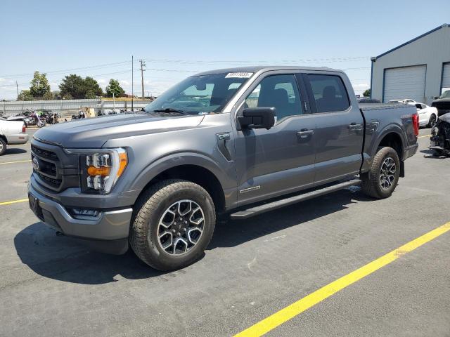 Vin: 1ftfw1ed2pfb98856, lot: 59513035, ford f-150 supercrew 2023 img_1