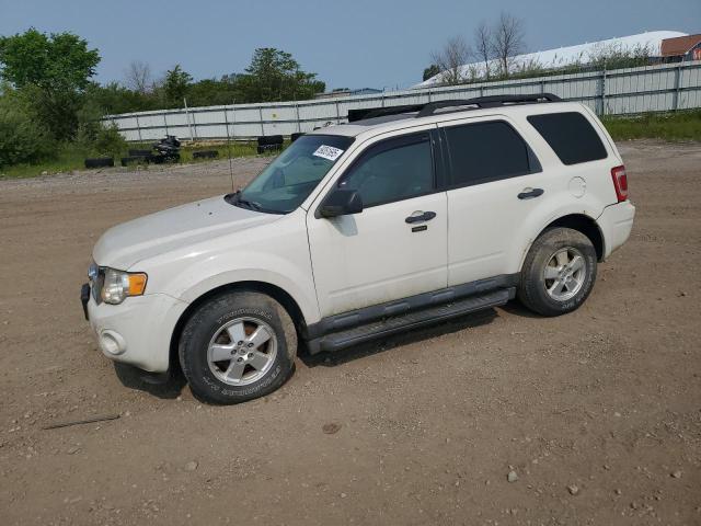 FORD ESCAPE XLT