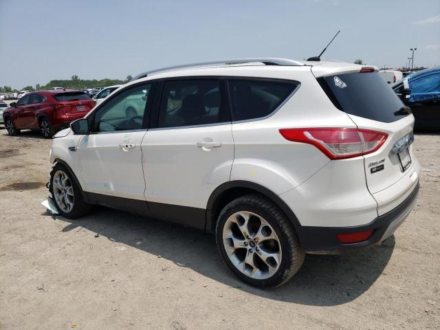 2016 FORD ESCAPE TIT 1FMCU9J95GUC76918