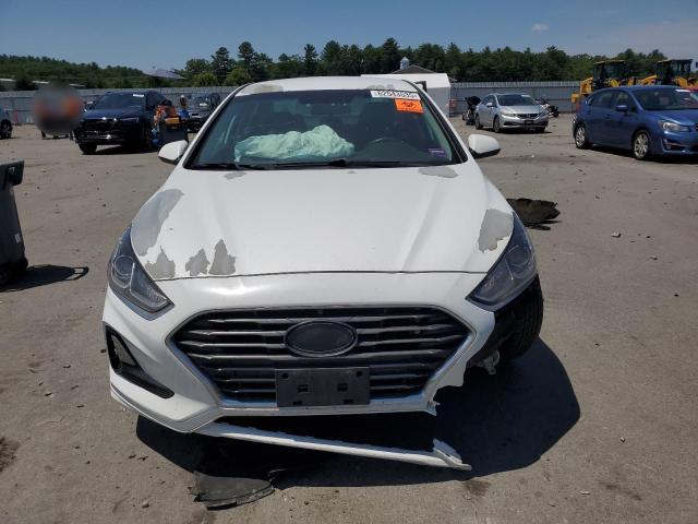 2019 HYUNDAI SONATA SE 5NPE24AF9KH744034