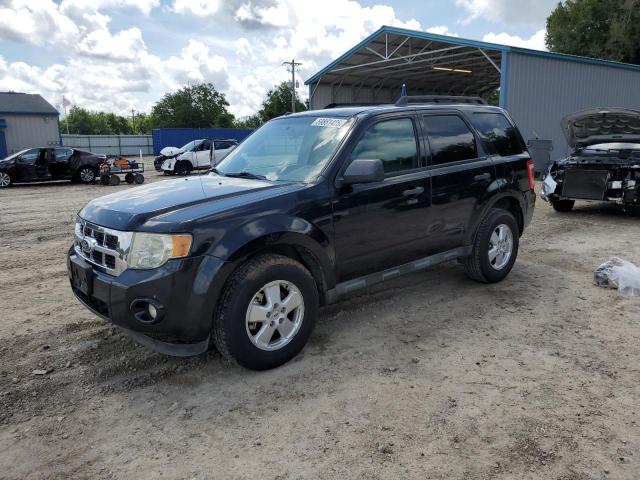 Vin: 1fmcu0d77bkb77916, lot: 59861425, ford escape xlt 2011 img_1