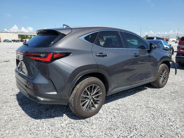 2025 LEXUS NX 250 PRE 2T2GDCAZ4SC021438