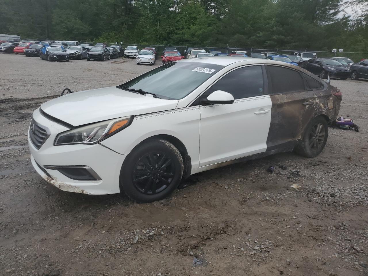 HYUNDAI SONATA SE