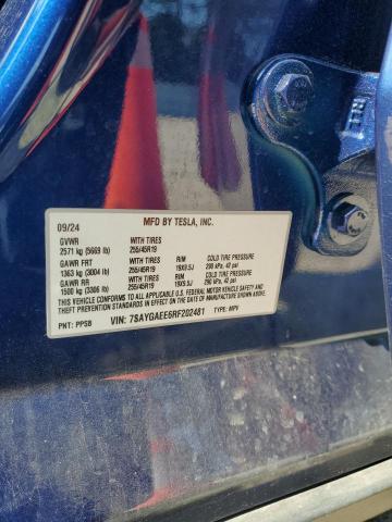 2024 TESLA MODEL Y - 7SAYGAEE6RF202481