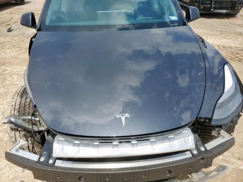 2025 TESLA MODEL Y 7SAYGDED3SA377735