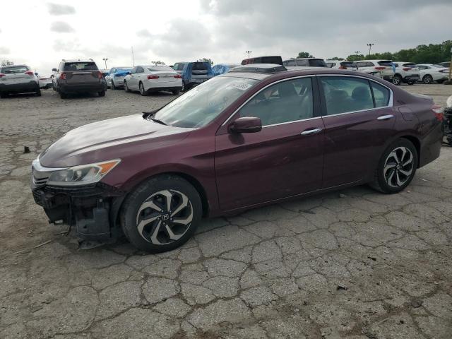 HONDA ACCORD EXL
