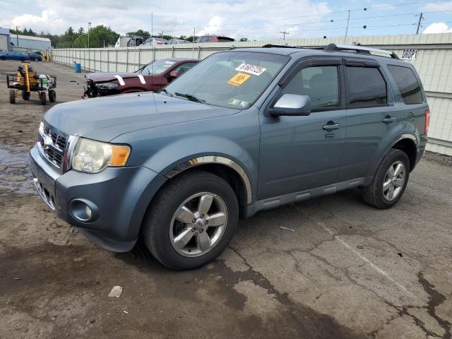 Vin: 1fmcu9eg1akc28781, lot: 61601725, ford escape limited 2010 img_1
