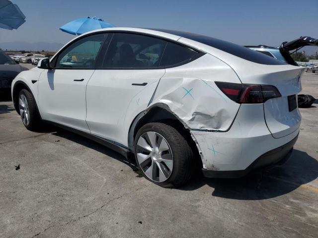 2024 TESLA MODEL Y 7SAYGDED3RF095611