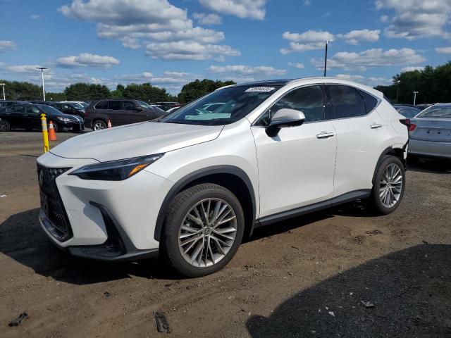 Vin: 2t2hgcez1rc048676, lot: 58994635, lexus nx 350 lux 350 luxury 2024 img_1