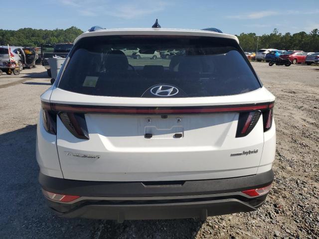 2024 HYUNDAI TUCSON SEL KM8JCCD17RU243757