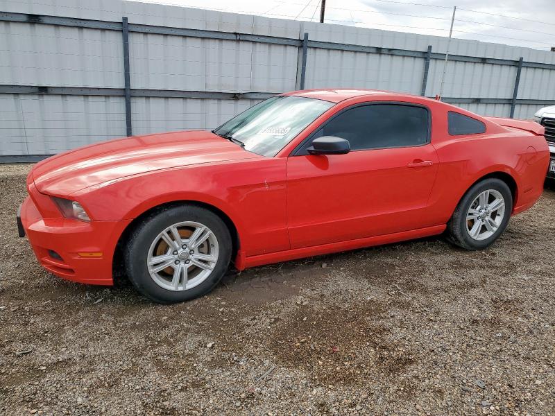 Vin: 1zvbp8am5e5202084, lot: 61585635, ford all models 2014 img_1