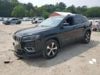 2019 JEEP CHEROKEE L - 1C4PJMDX2KD283992