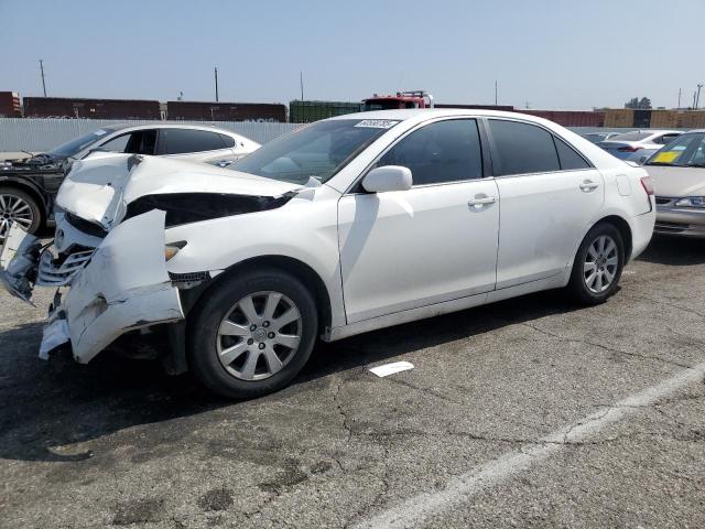 TOYOTA CAMRY BASE