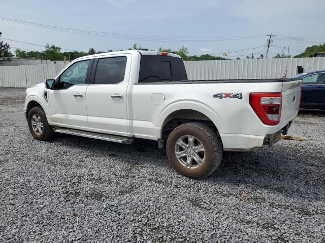 Vin: 1ftfw1e52pfb03351, lot: 59475625, ford f-150 supercrew 20232